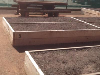 Gro Module Pine Raised Garden Beds - handcrafted Australian timber outdoor furniture, view 4