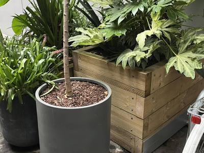 Gro Module Pine Raised Garden Beds - handcrafted Australian timber outdoor furniture, view 1